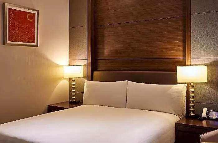 Lotte Gimpo Airport Hotel 4*